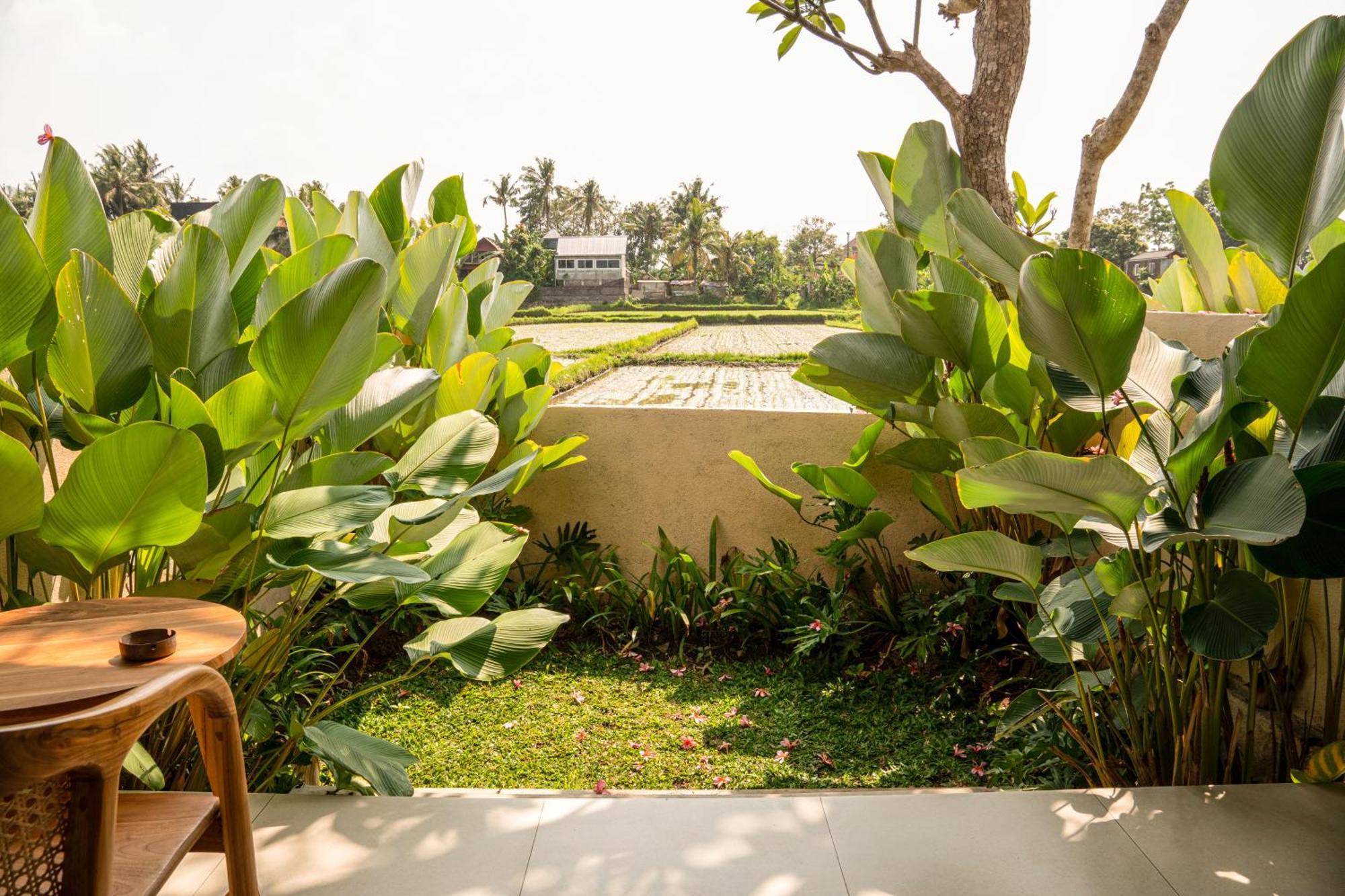 Tut Winten Villa Ubud 外观 照片